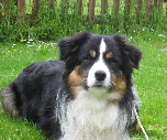 Pip