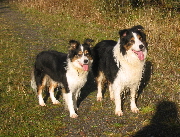 Magic and Whizz